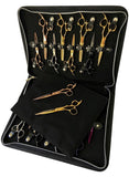 iCandy Black Leather 16pcs Scissor Zip Case