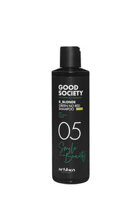 Artego Gs Metro 05 B Blonde Green No Red Shampoo 250Ml