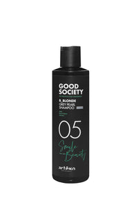 Artego Gs Metro 05 B Blonde Grey Pearl Shampoo 250Ml
